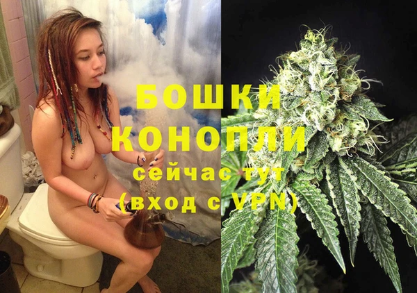 крисы Белокуриха